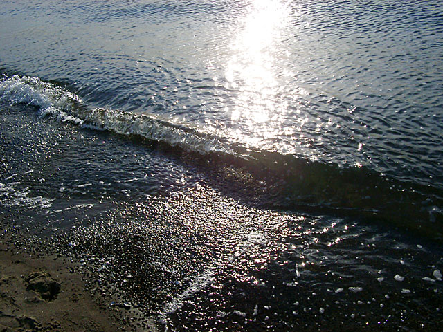 �C�ʐ^�f��