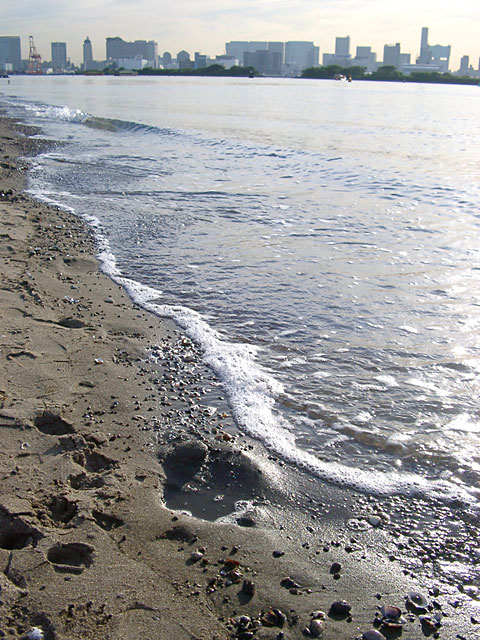 �C�ʐ^�f��