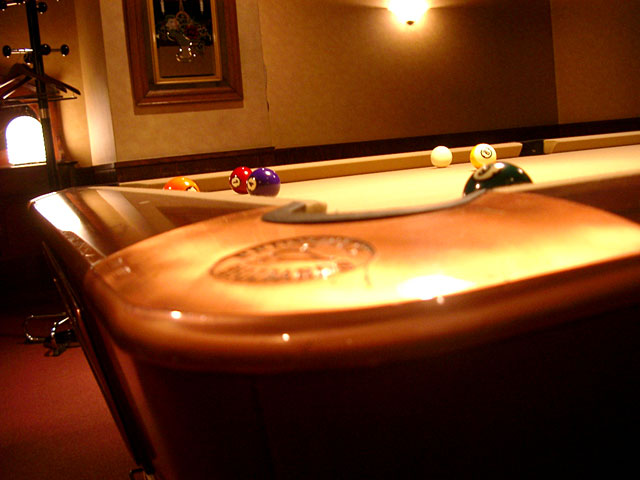 �r�����[�h�@���𑜓x�ʐ^�f��