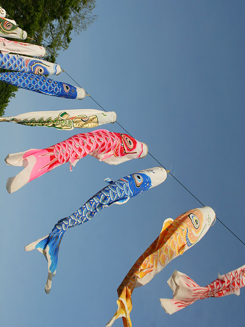 ���i�����̂ڂ�j�ʐ^�f�ށ@�@���𑜓x�ʐ^�f��