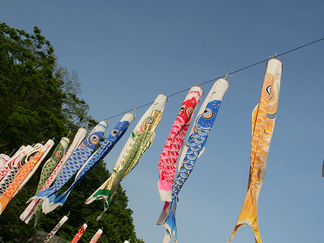 ���i�����̂ڂ�j�ʐ^�f�ށ@�@���𑜓x�ʐ^�f��