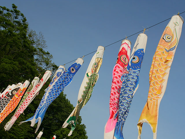 ���i�����̂ڂ�j�ʐ^�f�ށ@�@���𑜓x�ʐ^�f��