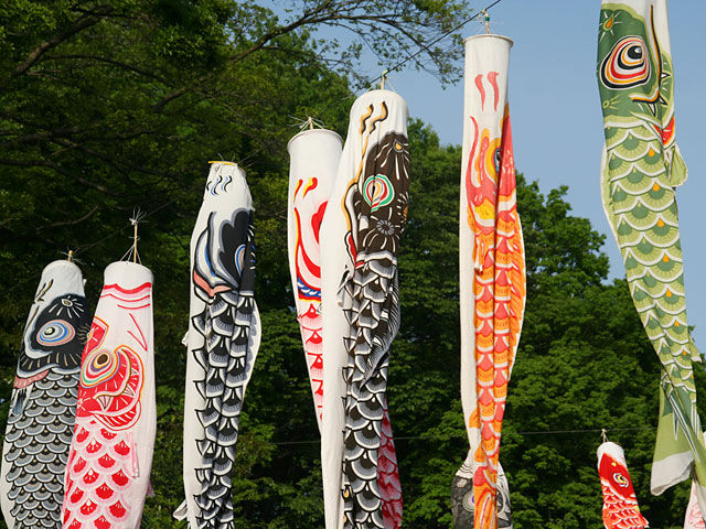 ���i�����̂ڂ�j�ʐ^�f�ށ@�@���𑜓x�ʐ^�f��