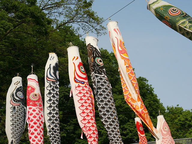 ���i�����̂ڂ�j�ʐ^�f�ށ@�@���𑜓x�ʐ^�f��