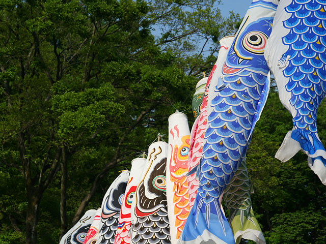 ���i�����̂ڂ�j�ʐ^�f�ށ@�@���𑜓x�ʐ^�f��