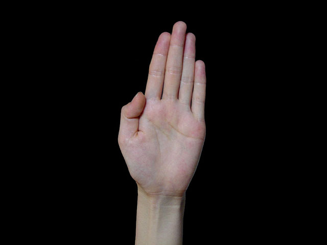 ��@���𑜓x�ʐ^�f��