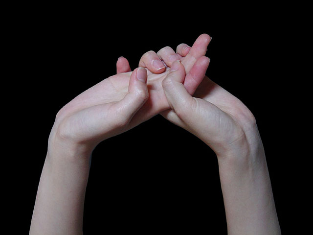 ��@���𑜓x�ʐ^�f��