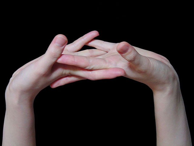 ��@���𑜓x�ʐ^�f��