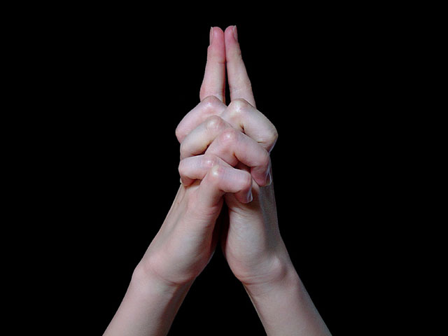 ��@���𑜓x�ʐ^�f��