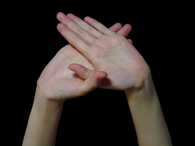 ��@���𑜓x�ʐ^�f��