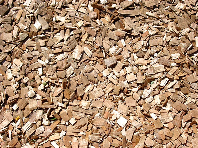 ���R�e�N�X�`���ʐ^�f��