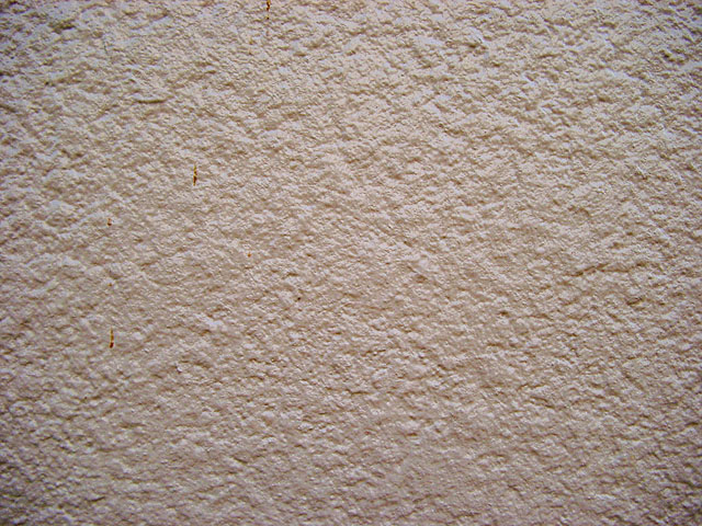 �e�N�X�`���@���𑜓x�ʐ^�f��