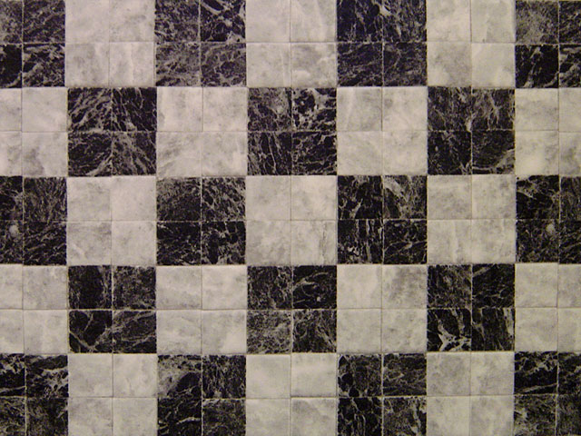 �e�N�X�`���@���𑜓x�ʐ^�f��