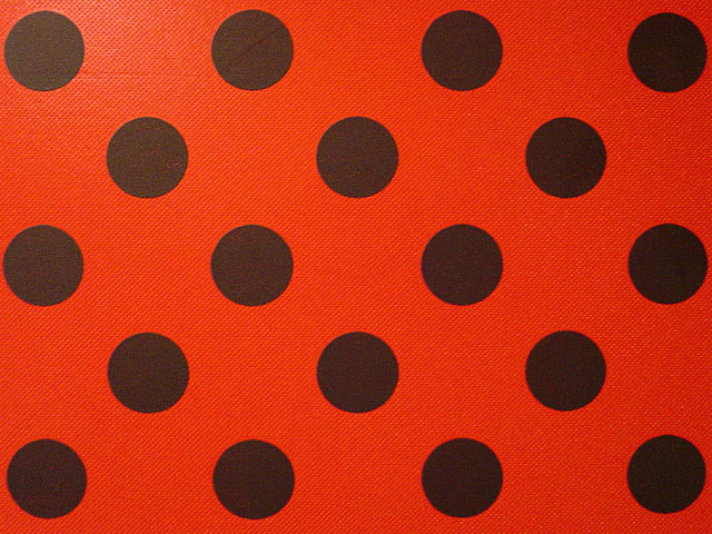 �e�N�X�`���@���𑜓x�ʐ^�f��