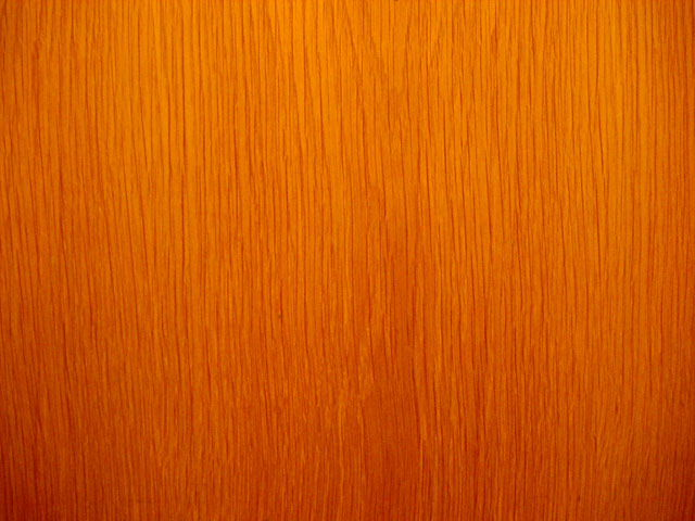 �e�N�X�`���@���𑜓x�ʐ^�f��