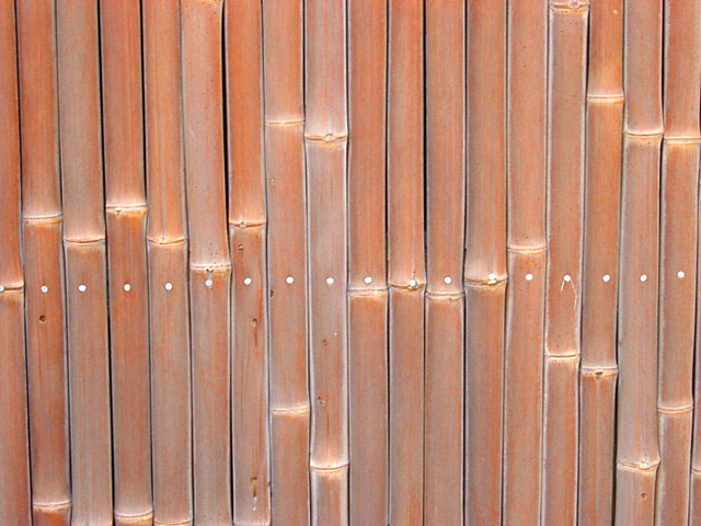 �e�N�X�`���@���𑜓x�ʐ^�f��