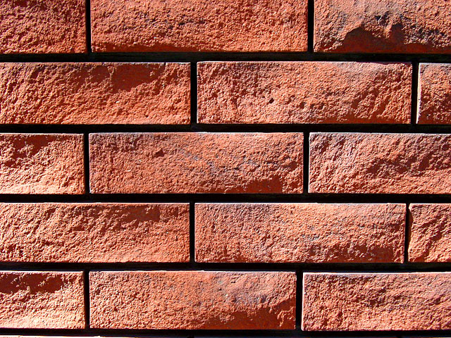 �e�N�X�`���@���𑜓x�ʐ^�f��