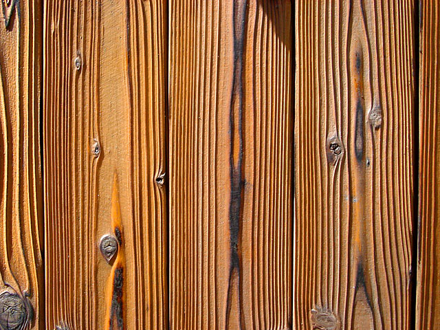 �e�N�X�`���@���𑜓x�ʐ^�f��