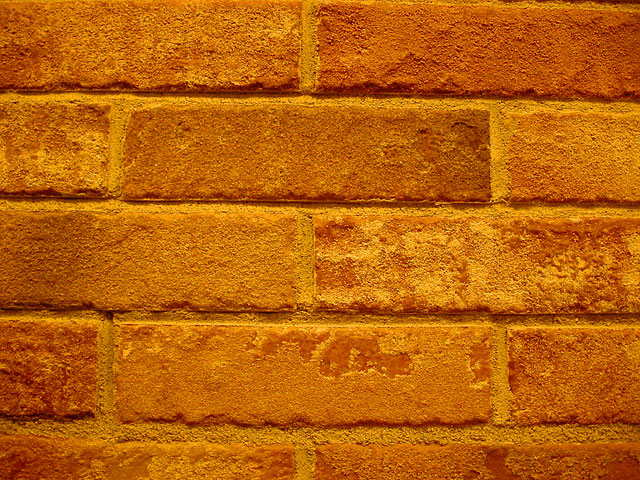 �e�N�X�`���@���𑜓x�ʐ^�f��