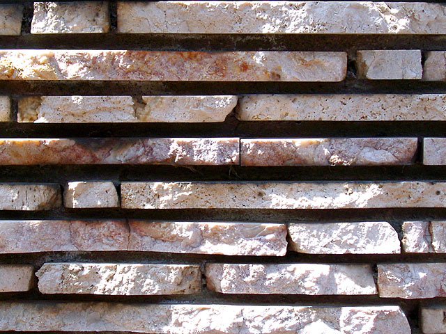 �e�N�X�`���@���𑜓x�ʐ^�f��