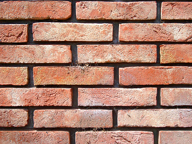 �e�N�X�`���@���𑜓x�ʐ^�f��