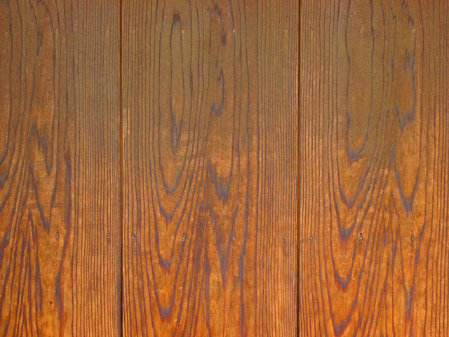 �e�N�X�`���@���𑜓x�ʐ^�f��