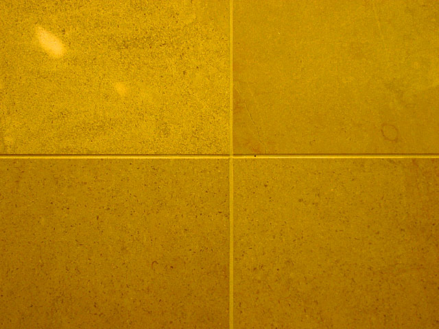 �e�N�X�`���@���𑜓x�ʐ^�f��