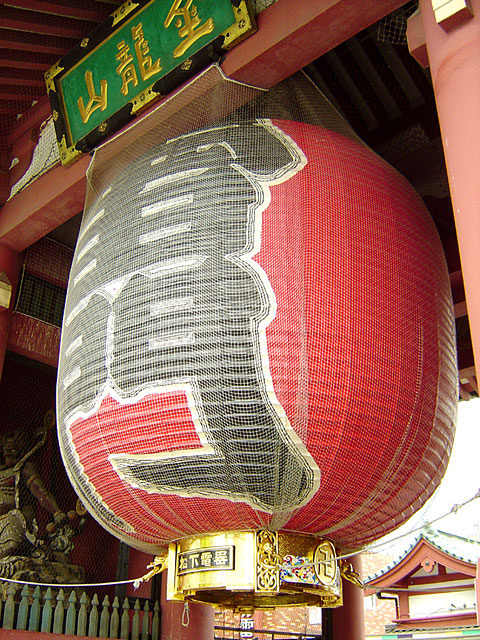 �󑐎ʐ^�f��