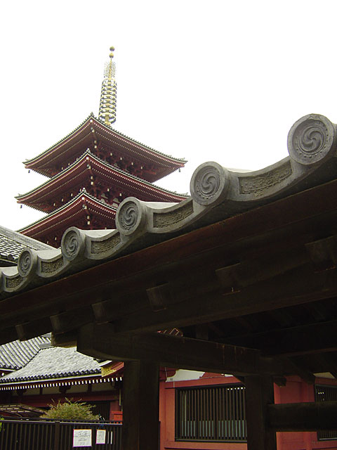 �󑐎ʐ^�f��