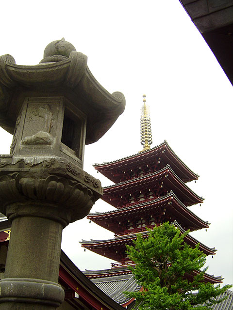 �󑐎ʐ^�f��