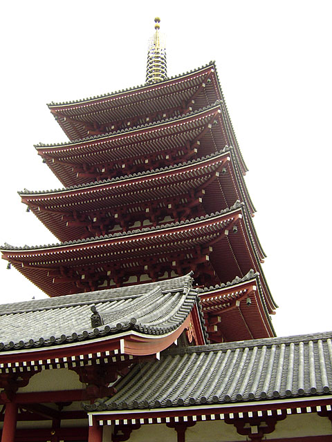 �󑐎ʐ^�f��