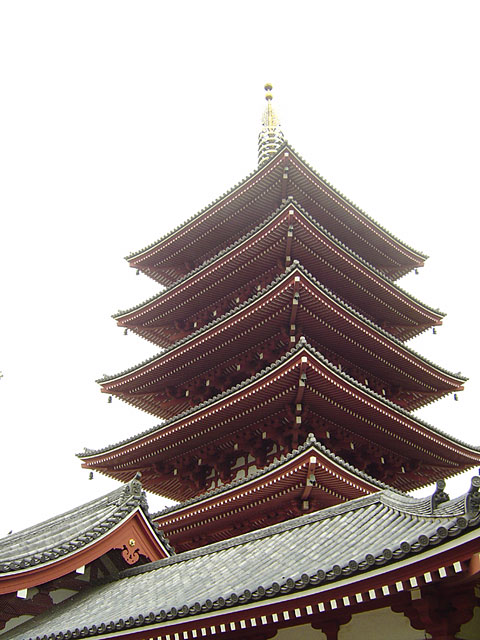 �󑐎ʐ^�f��