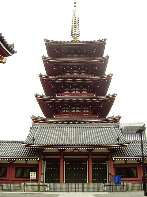 �󑐎ʐ^�f��