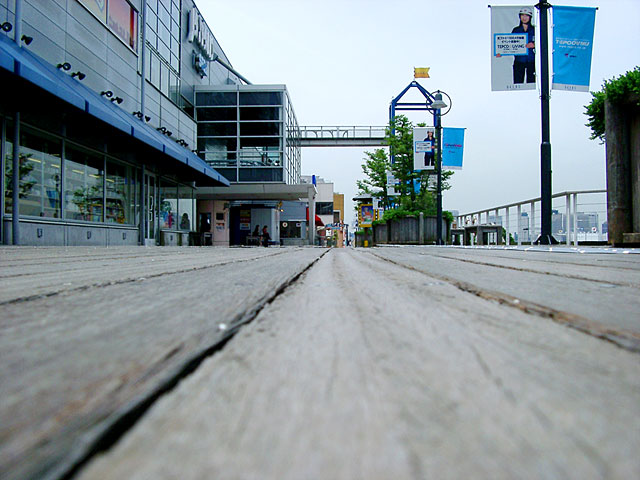 �����@�ʐ^�f��