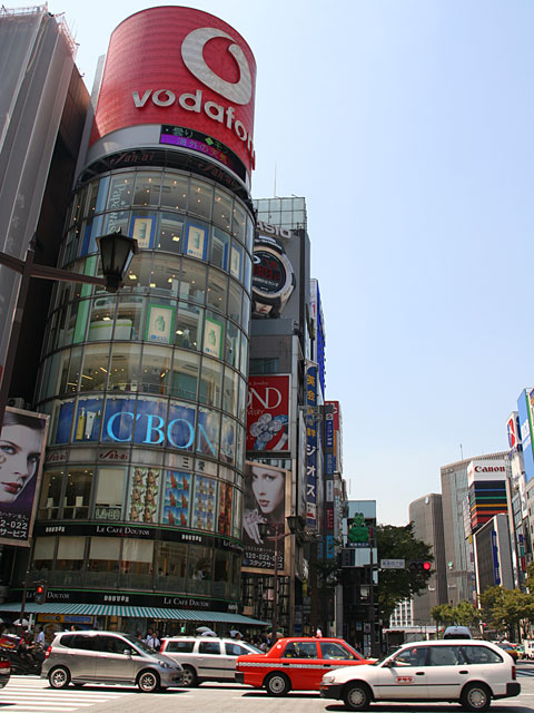 ����ʐ^�f��