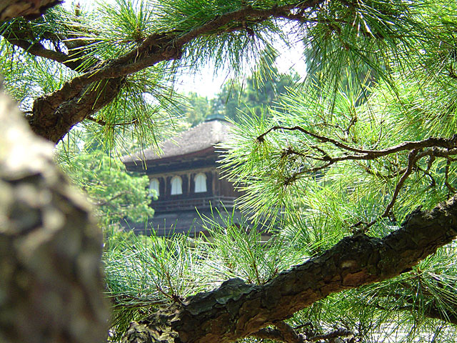 ���s�ʐ^�f��