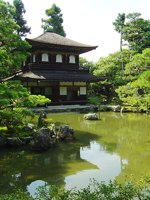 ���s�ʐ^�f��