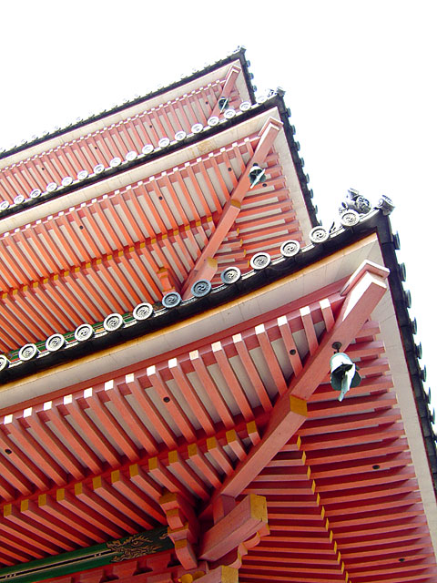 ���s�ʐ^�f��