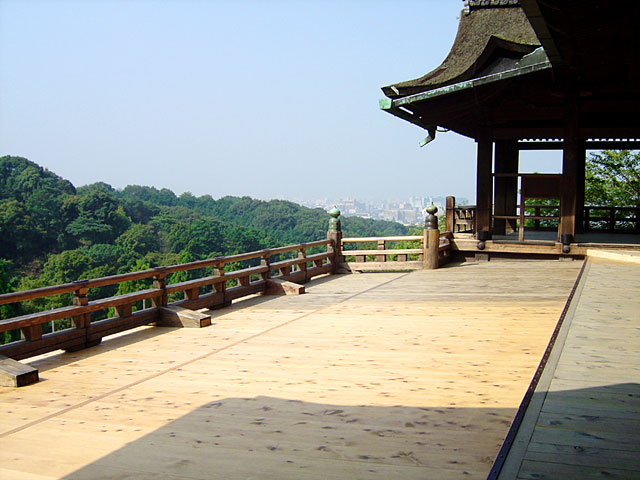 ���s�ʐ^�f��