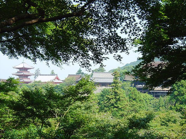 ���s�ʐ^�f��