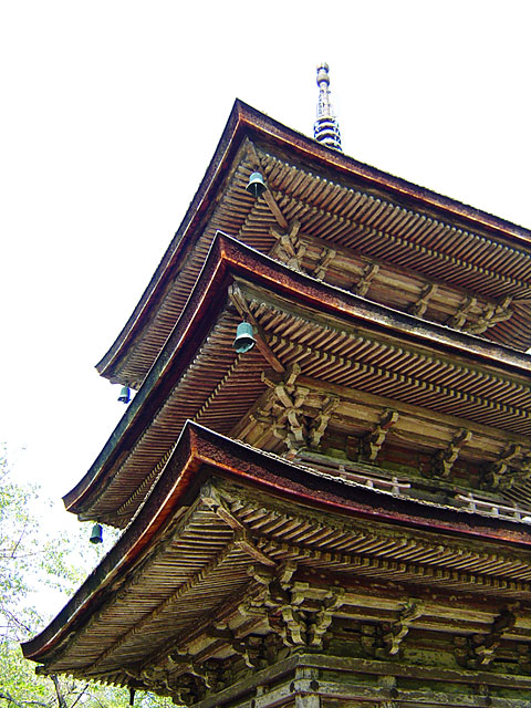 ���s�ʐ^�f��