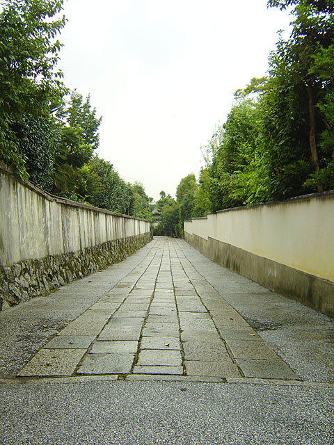 ���s�ʐ^�f��