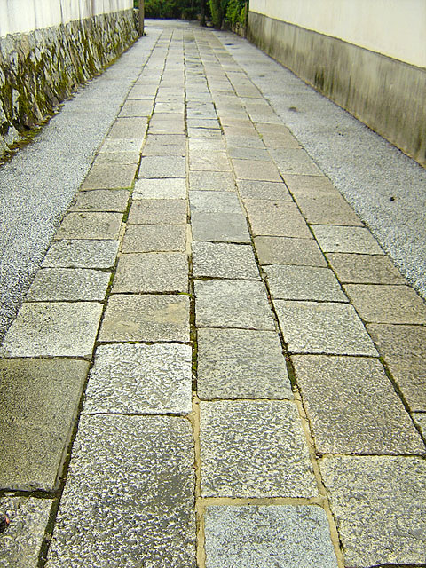 ���s�ʐ^�f��