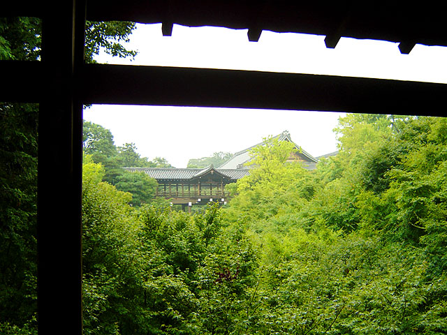 ���s�@���𑜓x�ʐ^�f��