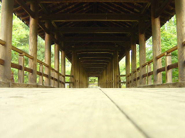 ���s�@���𑜓x�ʐ^�f��