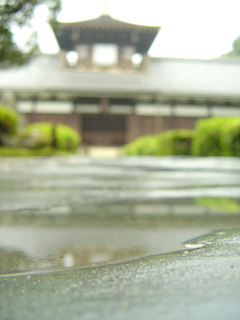 ���s�@���𑜓x�ʐ^�f��