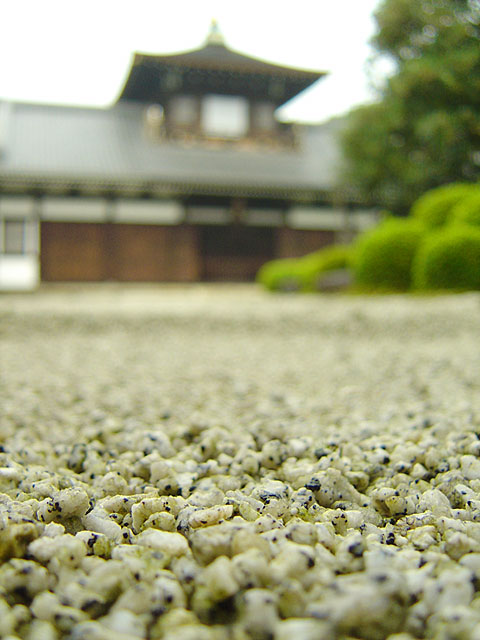 ���s�@���𑜓x�ʐ^�f��