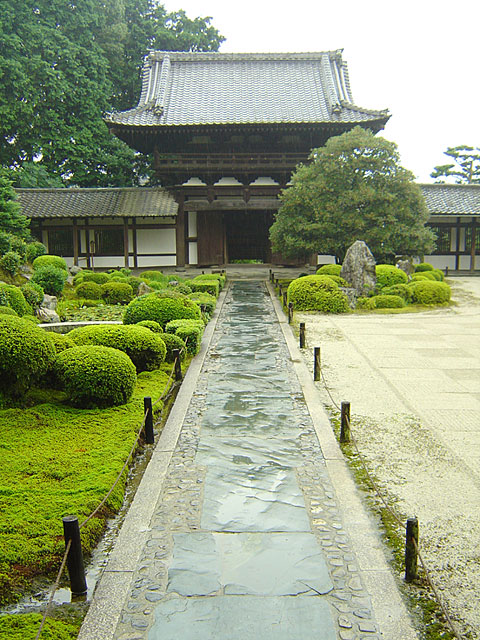 ���s�@���𑜓x�ʐ^�f��