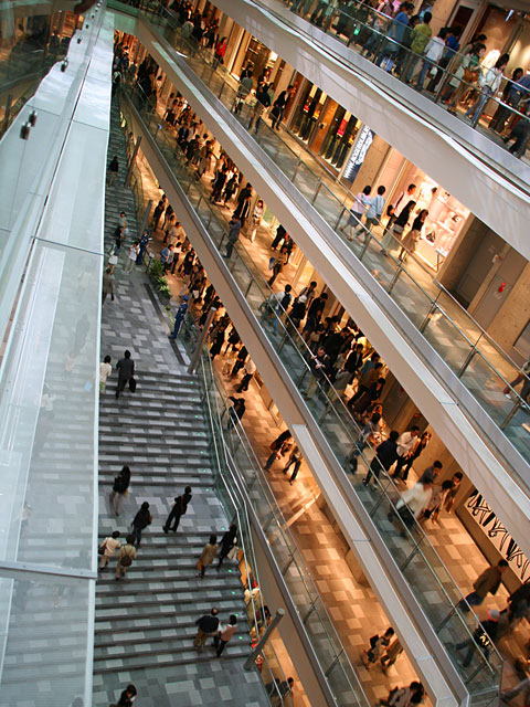 �\�Q���ʐ^