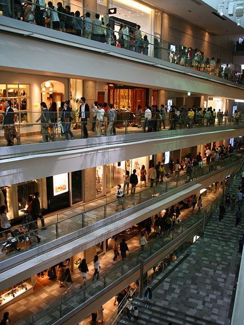 �\�Q���ʐ^